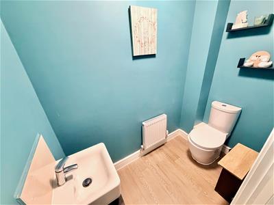Picture 7